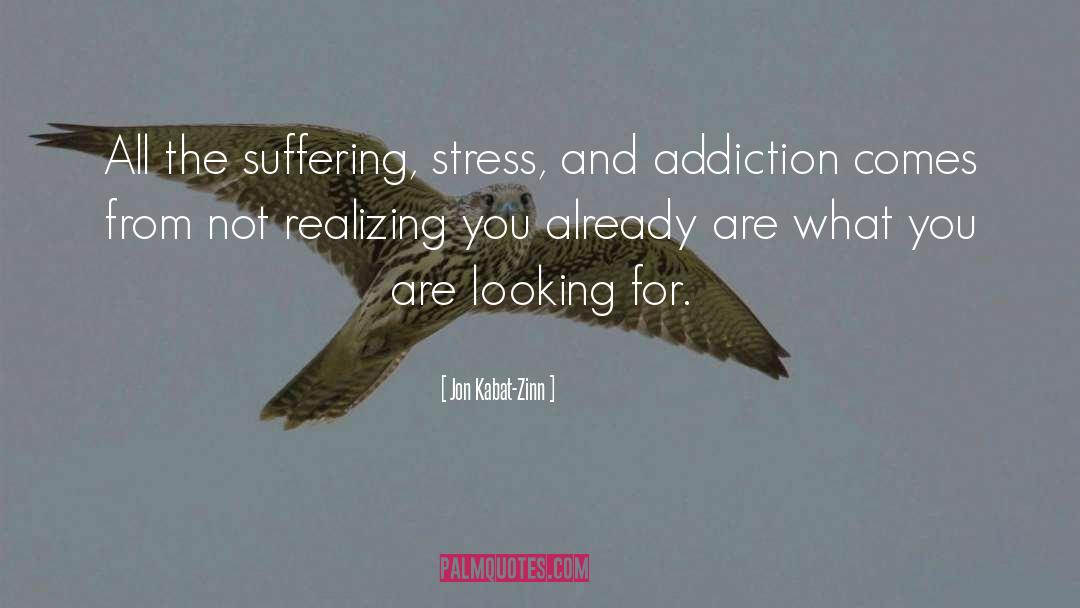 Addiction quotes by Jon Kabat-Zinn