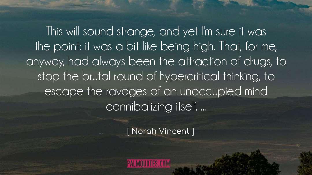 Addiction quotes by Norah Vincent