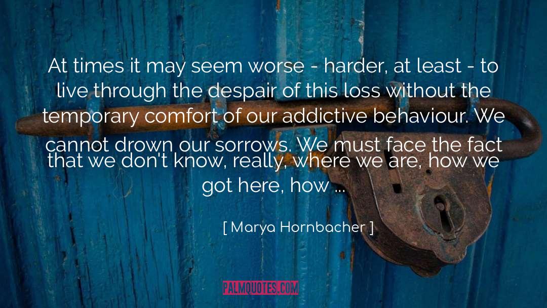 Addiction To Technology quotes by Marya Hornbacher