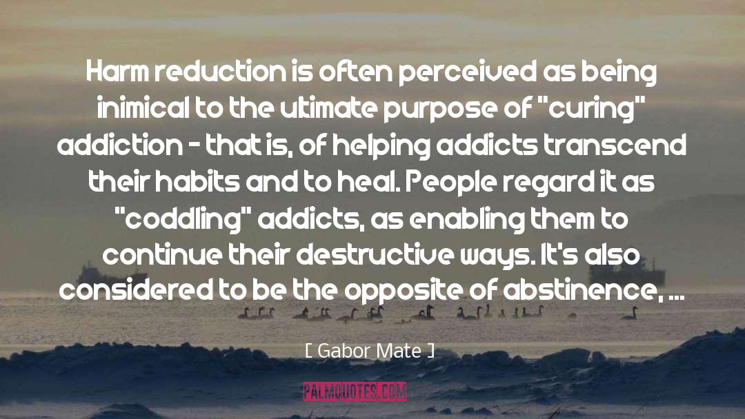 Addiction Treatment Center quotes by Gabor Mate