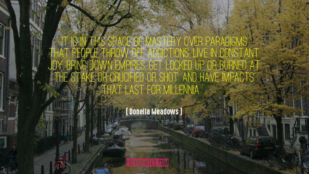 Addiction Treatment quotes by Donella Meadows