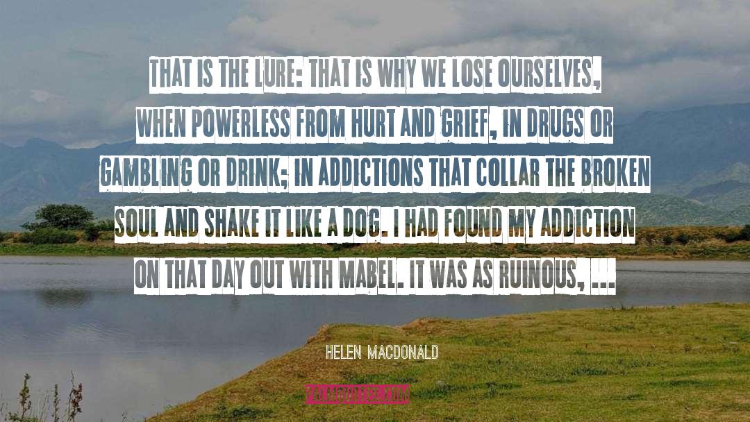 Addictions quotes by Helen Macdonald