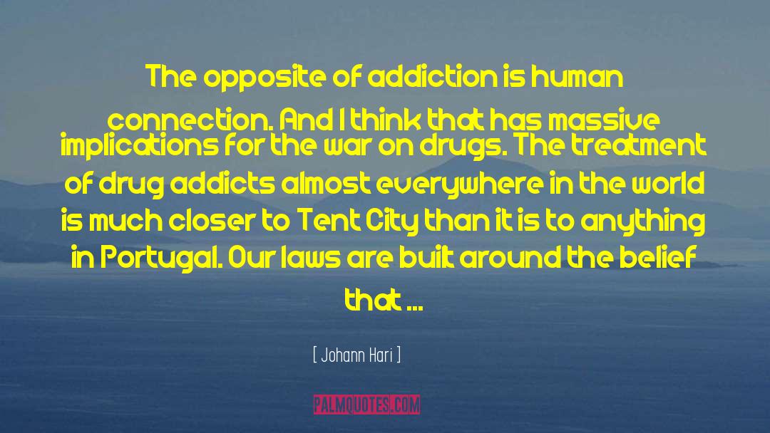 Addicts quotes by Johann Hari