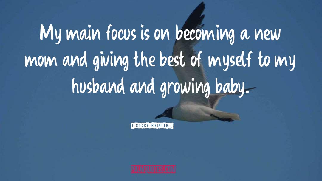 Adding A New Baby quotes by Stacy Keibler