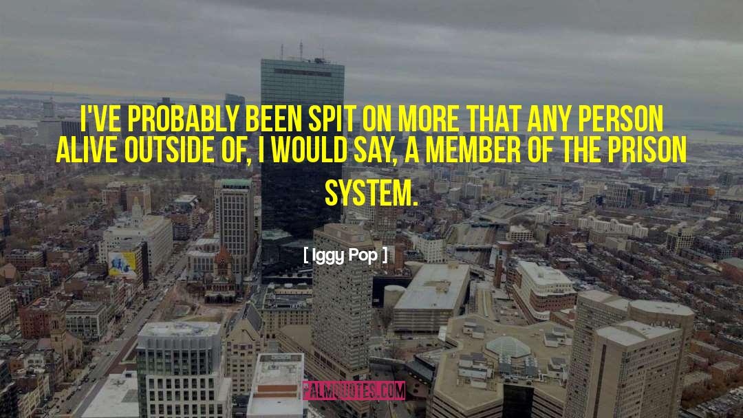 Additional Member System quotes by Iggy Pop