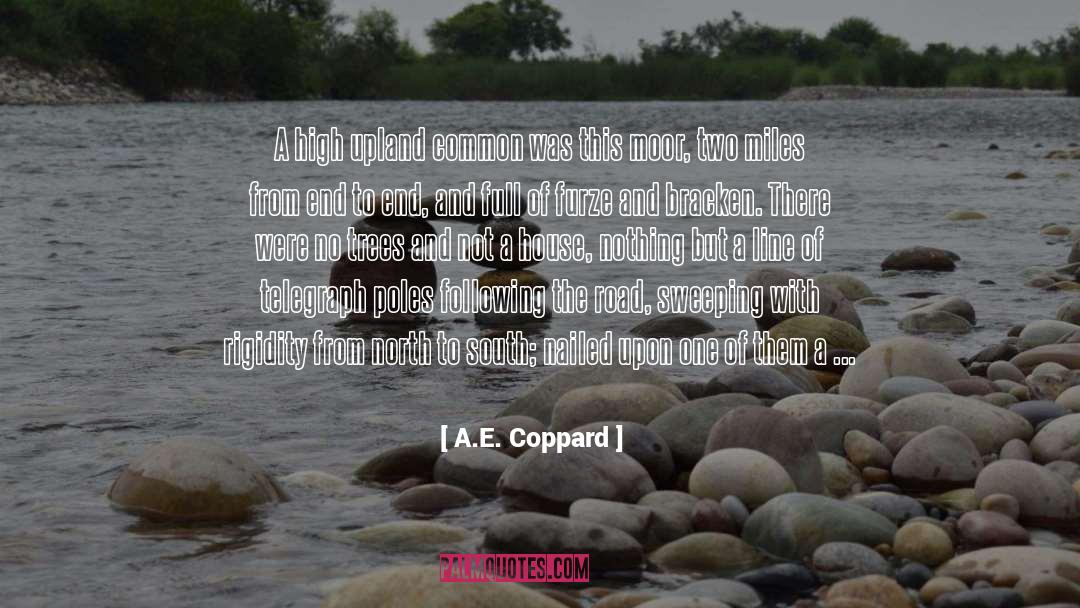 Adelines House Of Cool quotes by A.E. Coppard