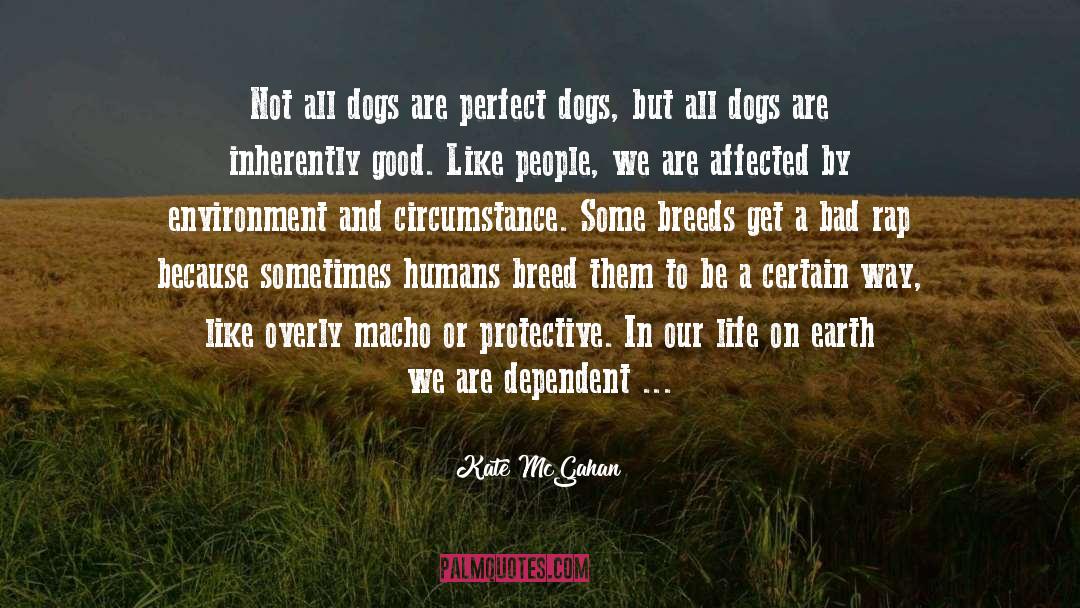 Adenosyl For Dogs quotes by Kate McGahan