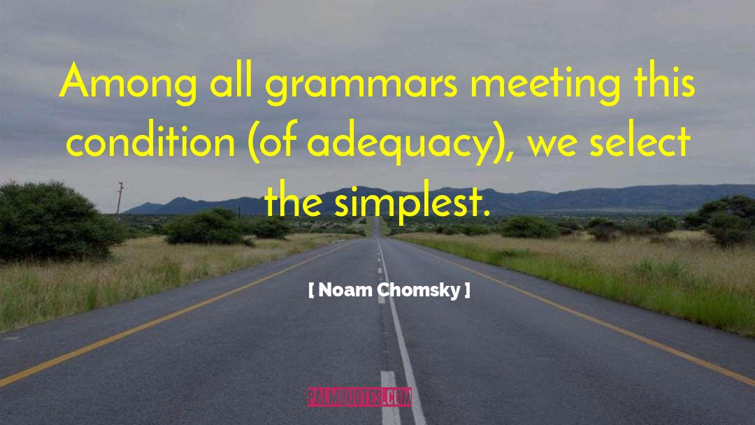 Adequacy quotes by Noam Chomsky