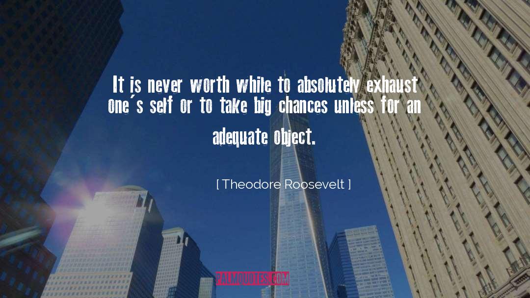 Adequacy quotes by Theodore Roosevelt