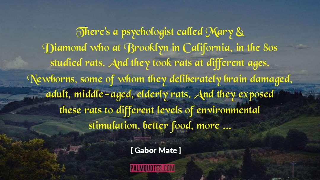 Adhd quotes by Gabor Mate