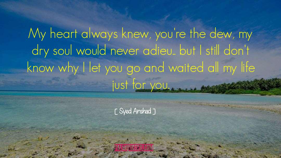 Adieu quotes by Syed Arshad