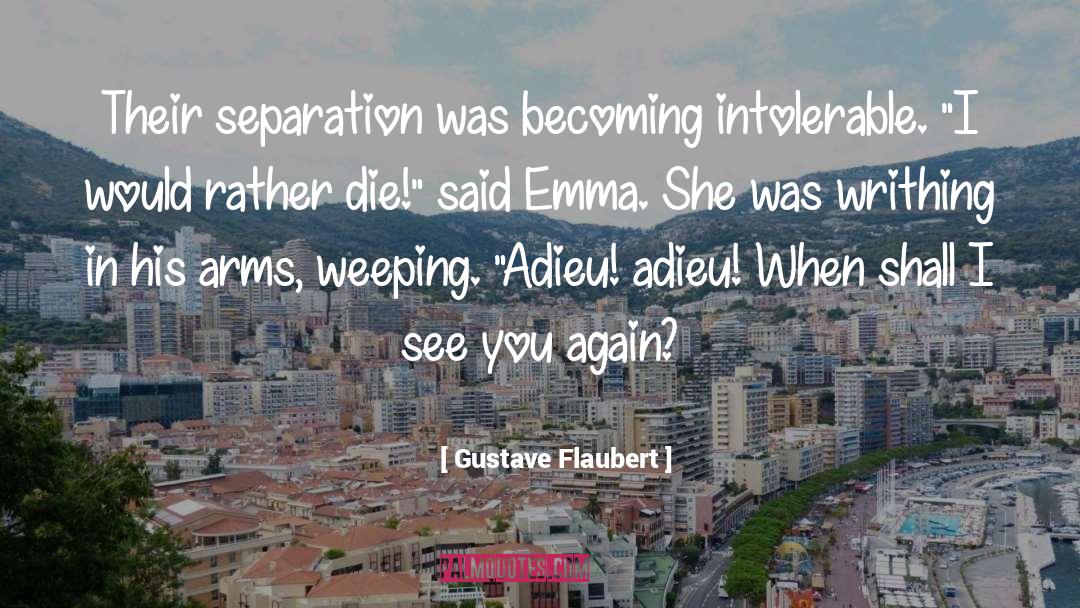 Adieu quotes by Gustave Flaubert