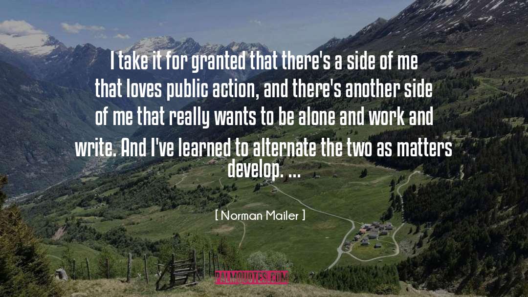 Adieu To Norman quotes by Norman Mailer