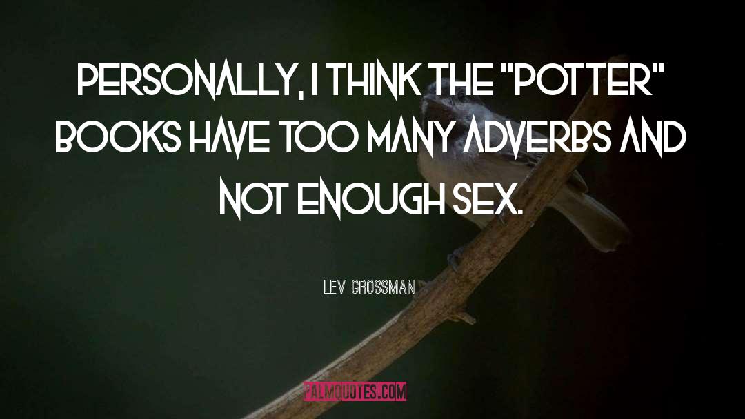 Adjectives And Adverbs quotes by Lev Grossman