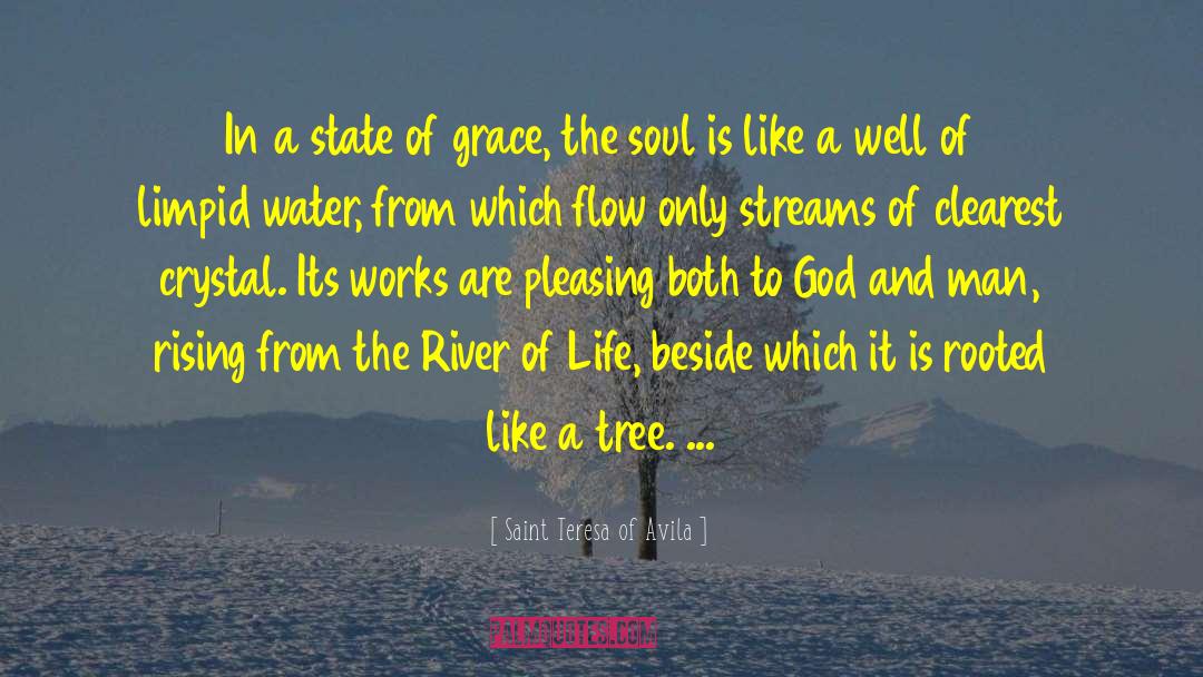 Adjust To The Flow Of Life quotes by Saint Teresa Of Avila