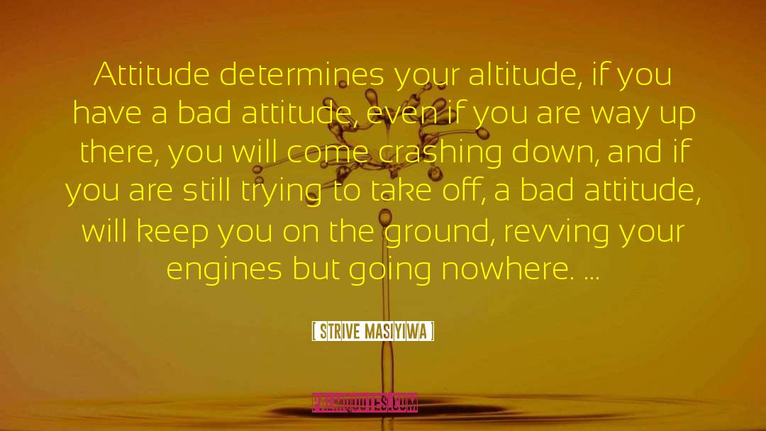 Adjustment And Attitude quotes by Strive Masiyiwa