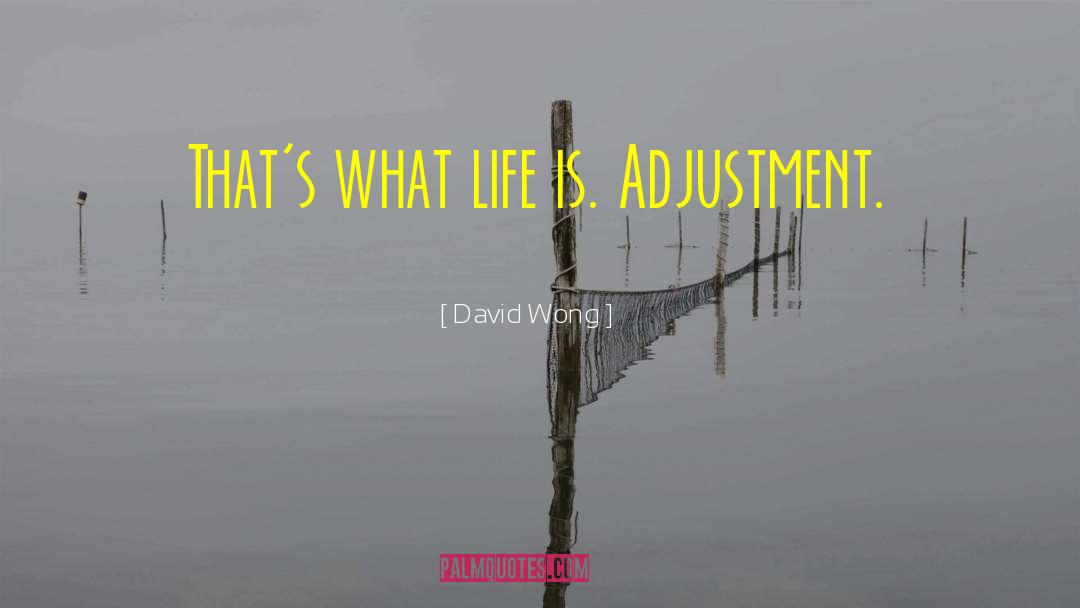 Adjustment quotes by David Wong