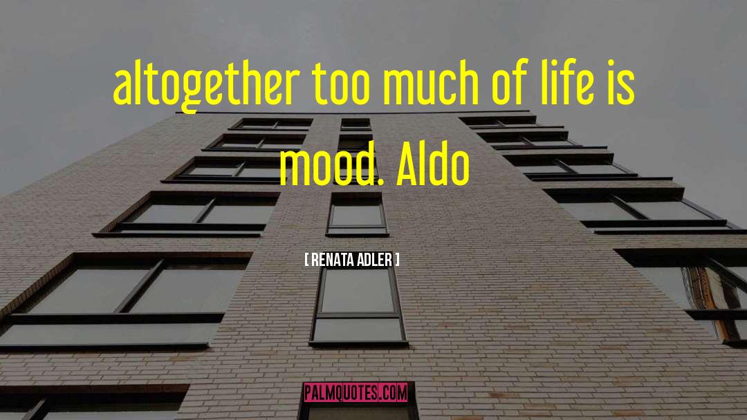 Adler quotes by Renata Adler