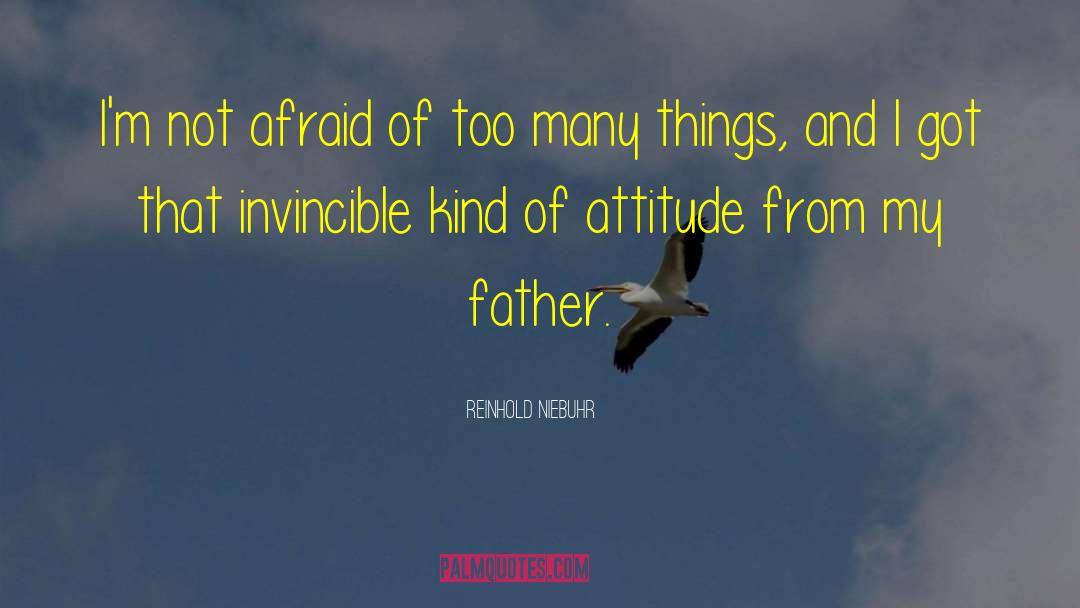 Admiration And Attitude quotes by Reinhold Niebuhr