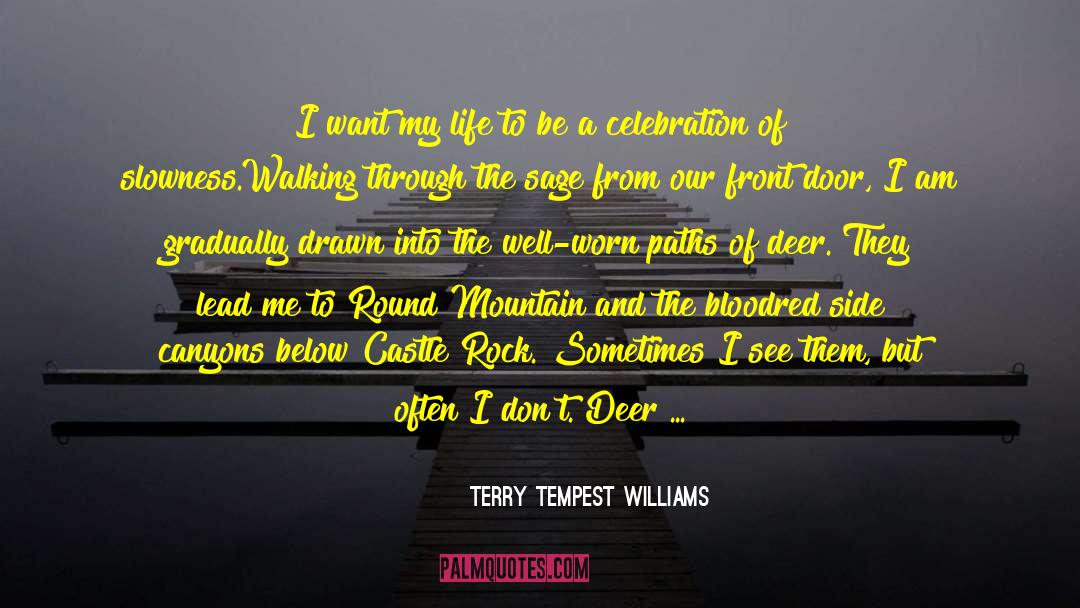 Admiration Of Nature quotes by Terry Tempest Williams