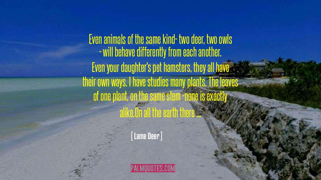 Admiration Of Nature quotes by Lame Deer