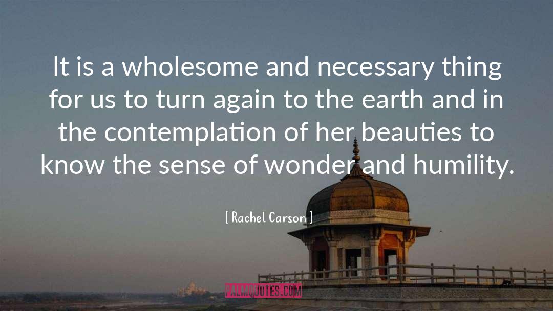 Admire Her Beauty quotes by Rachel Carson