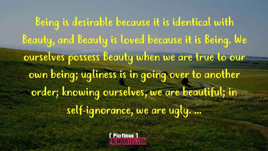 Admiring Beauty quotes by Plotinus