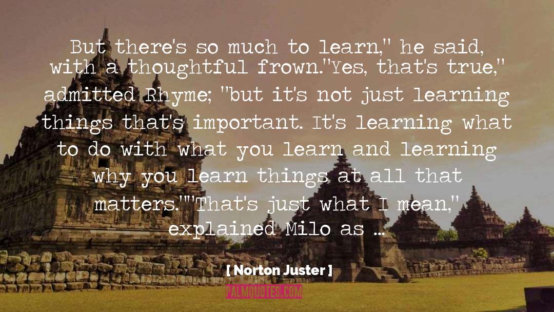 Admitted quotes by Norton Juster