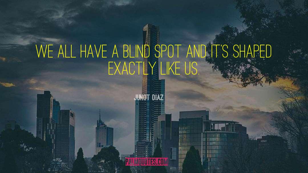 Admitting Blind Spots quotes by Junot Diaz