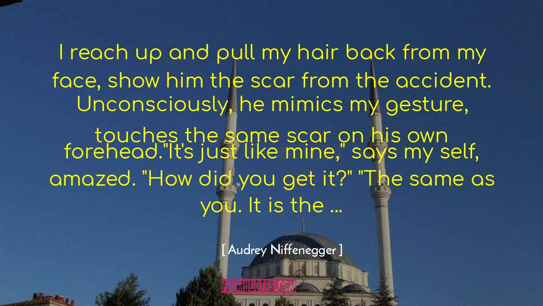Admixture quotes by Audrey Niffenegger