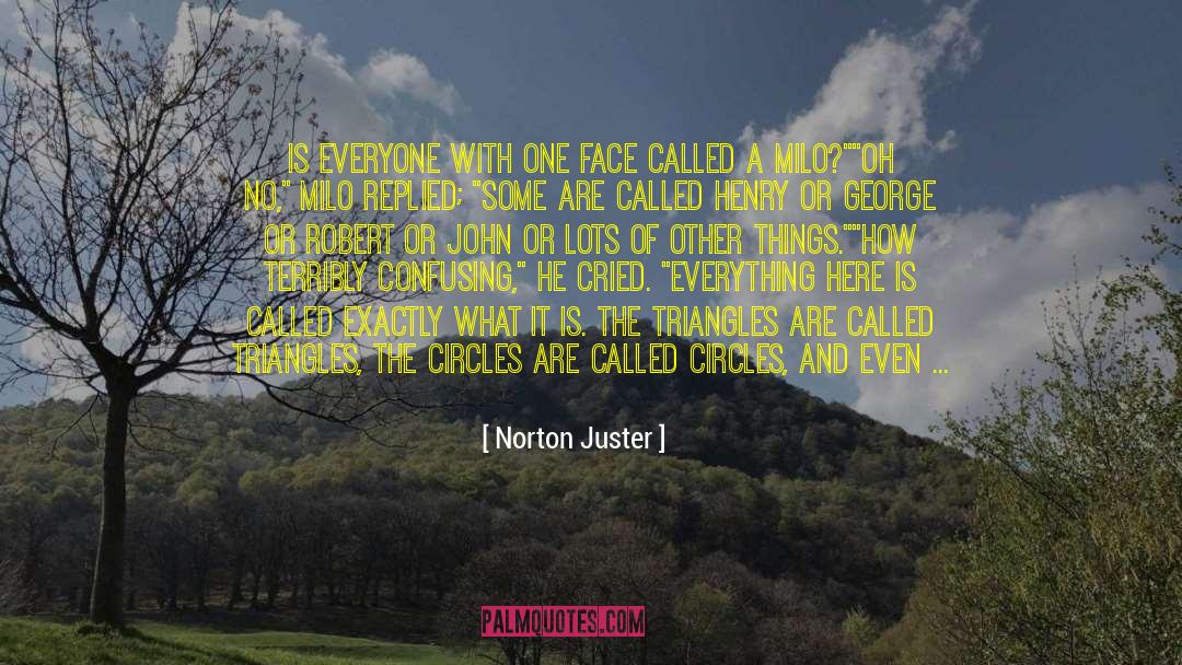 Admonishing quotes by Norton Juster
