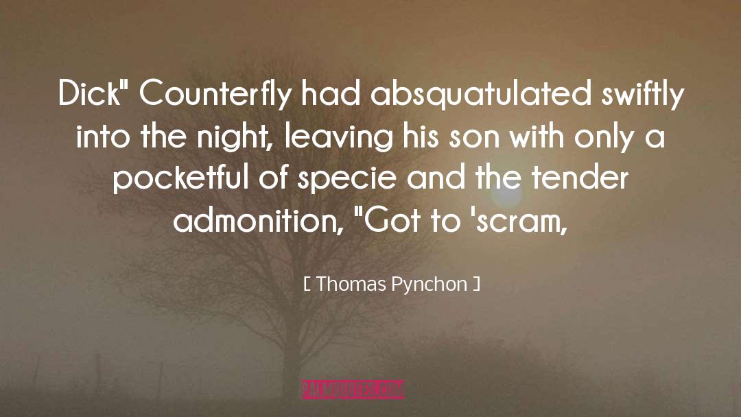 Admonition quotes by Thomas Pynchon