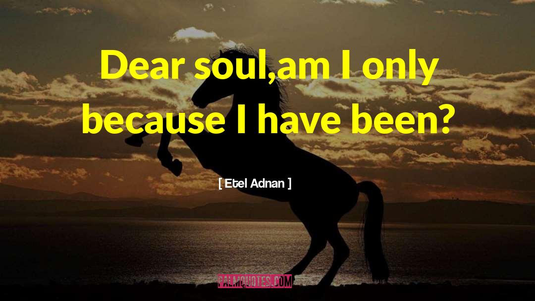 Adnan Sarhan quotes by Etel Adnan