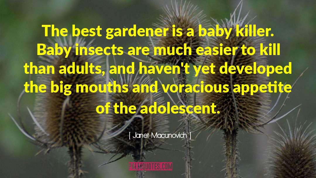 Adolescent Exceptionalism quotes by Janet Macunovich