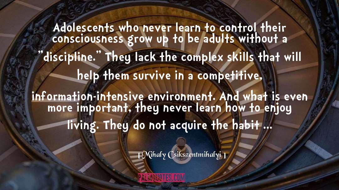 Adolescents quotes by Mihaly Csikszentmihalyi