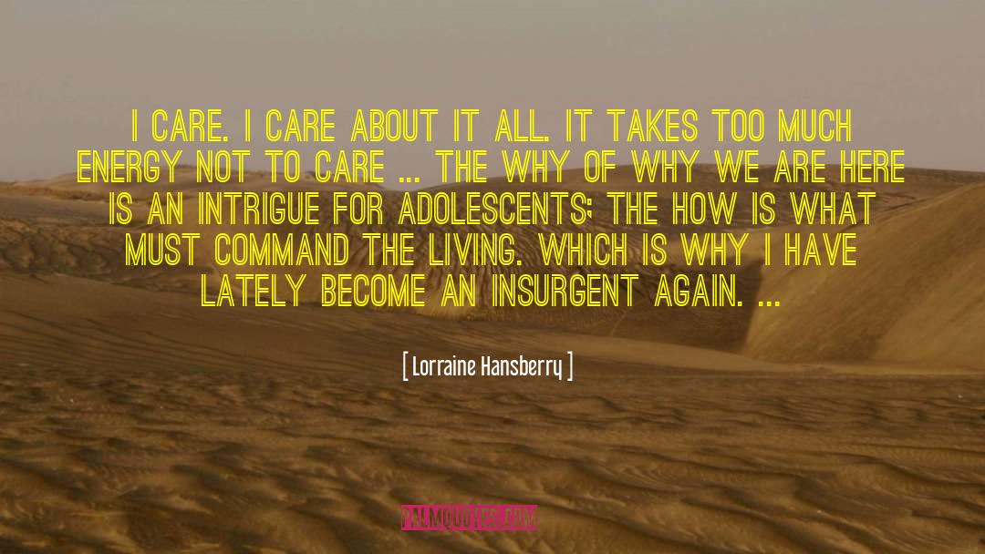 Adolescents quotes by Lorraine Hansberry