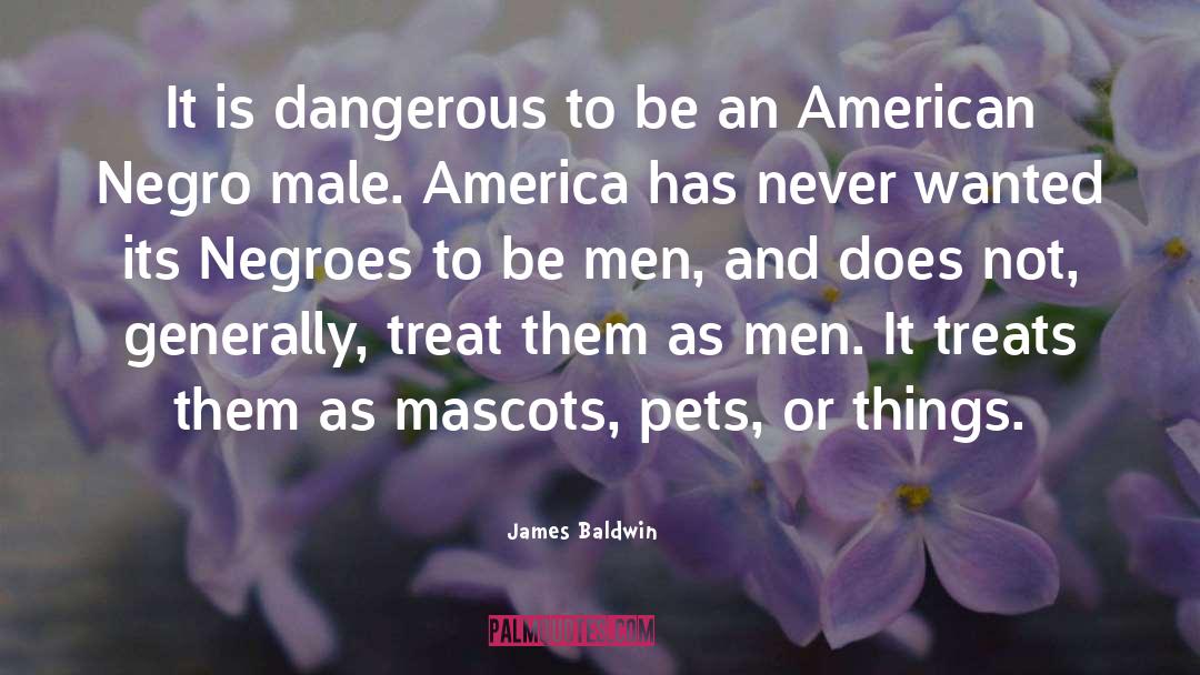 Adopting Pets quotes by James Baldwin