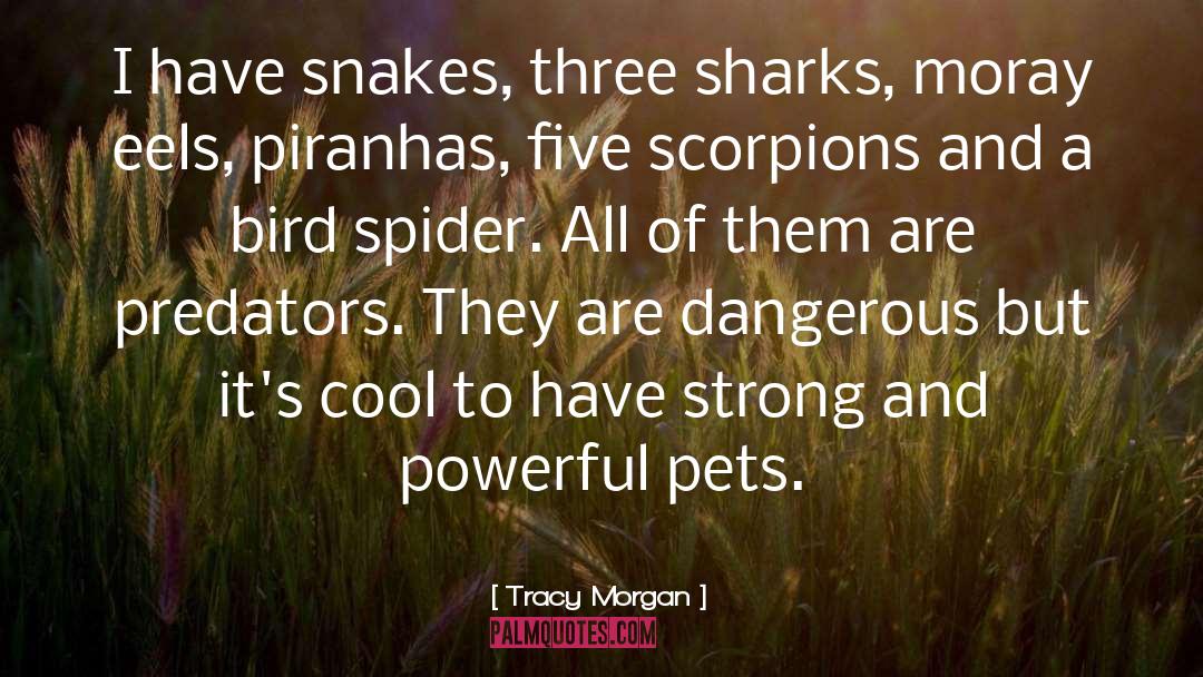 Adopting Pets quotes by Tracy Morgan