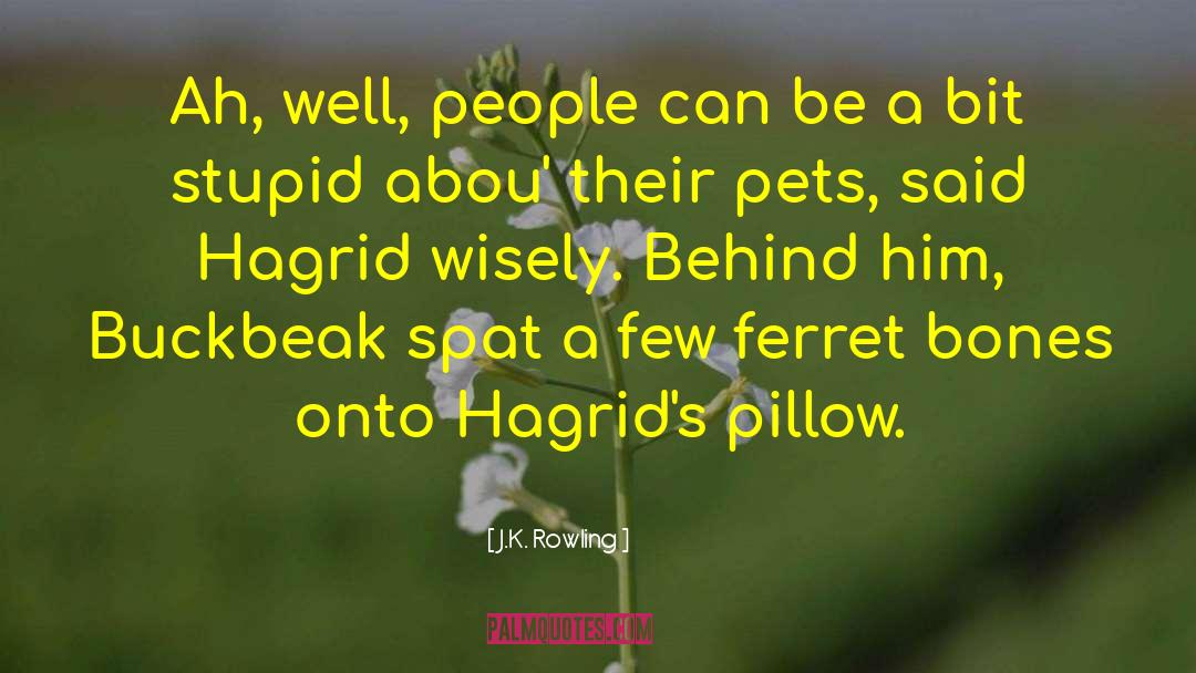Adopting Pets quotes by J.K. Rowling