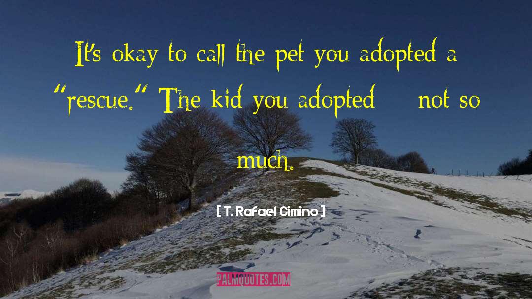 Adoption Reunions quotes by T. Rafael Cimino