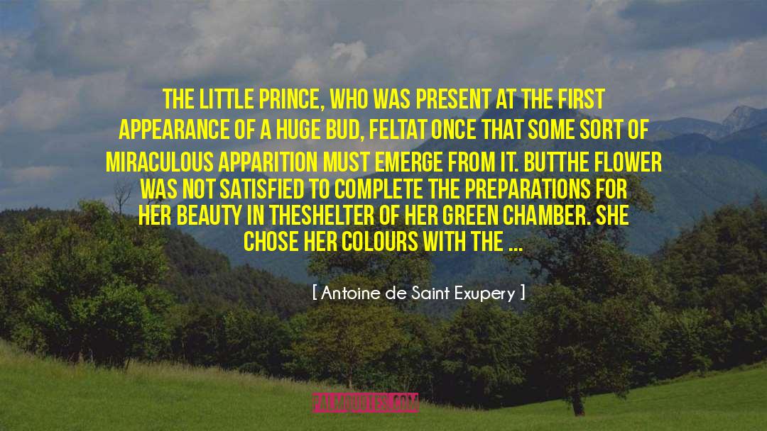 Adornment quotes by Antoine De Saint Exupery