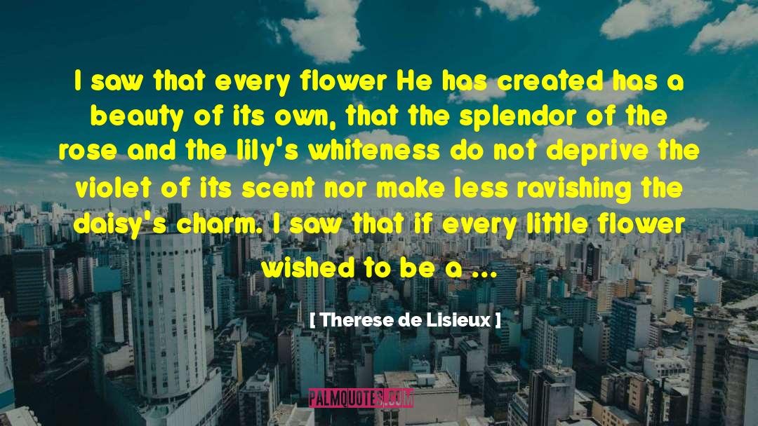 Adornments quotes by Therese De Lisieux