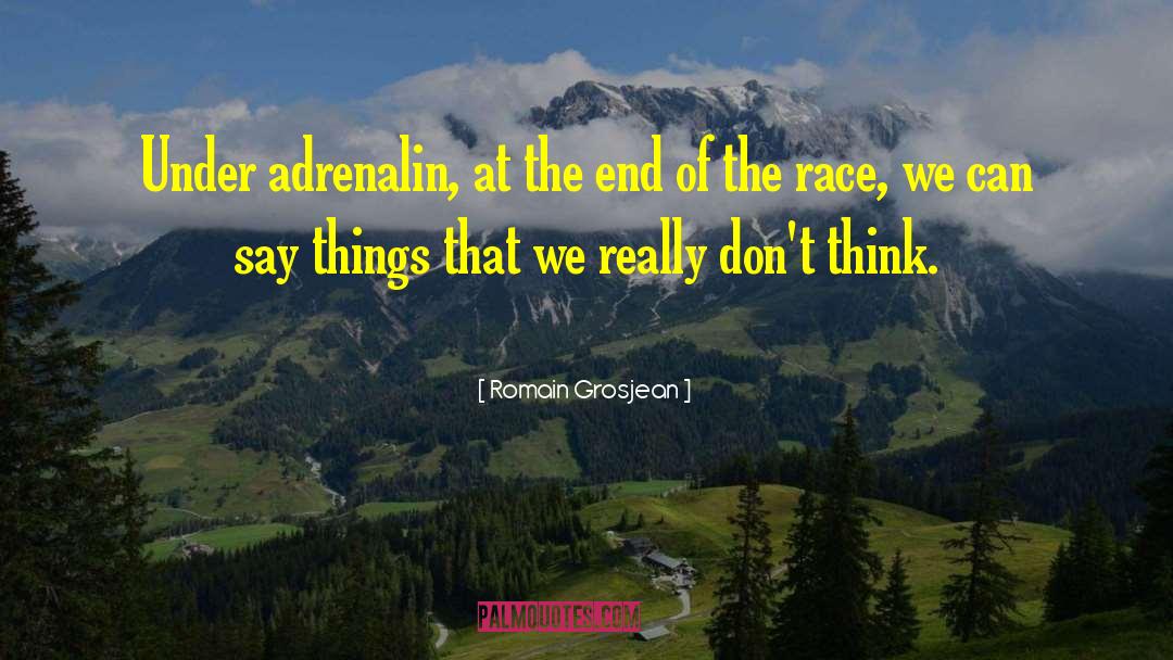 Adrenalin quotes by Romain Grosjean