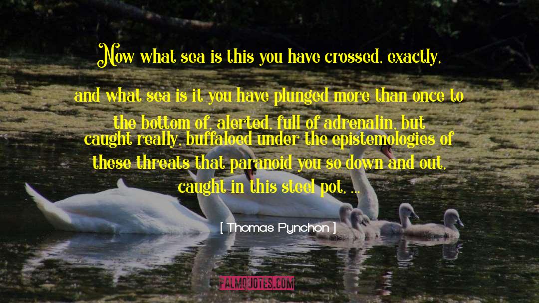 Adrenalin quotes by Thomas Pynchon