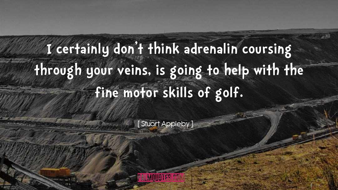 Adrenalin quotes by Stuart Appleby