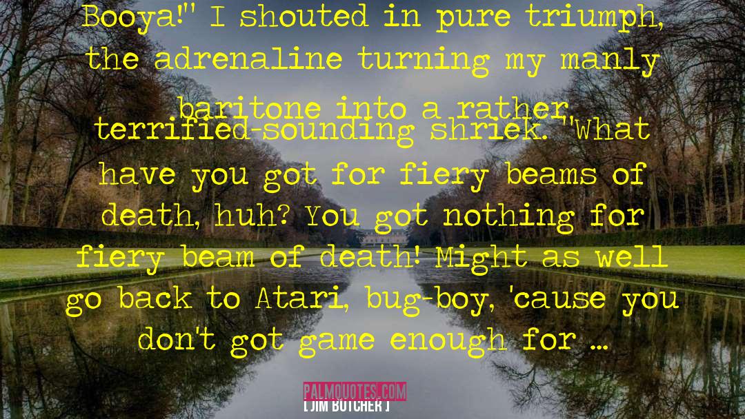 Adrenaline Junky quotes by Jim Butcher