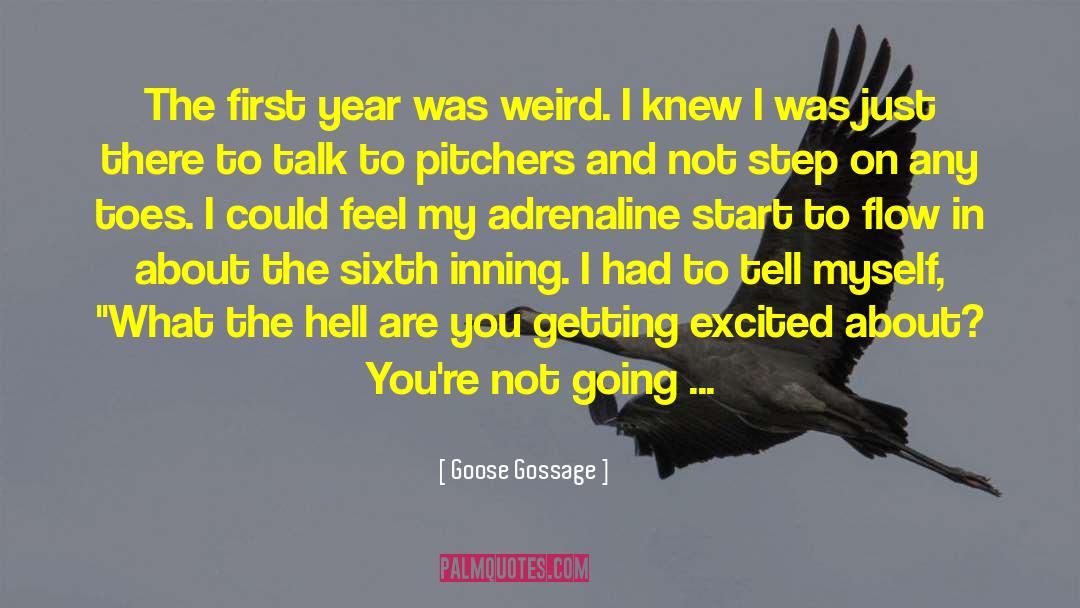 Adrenaline quotes by Goose Gossage