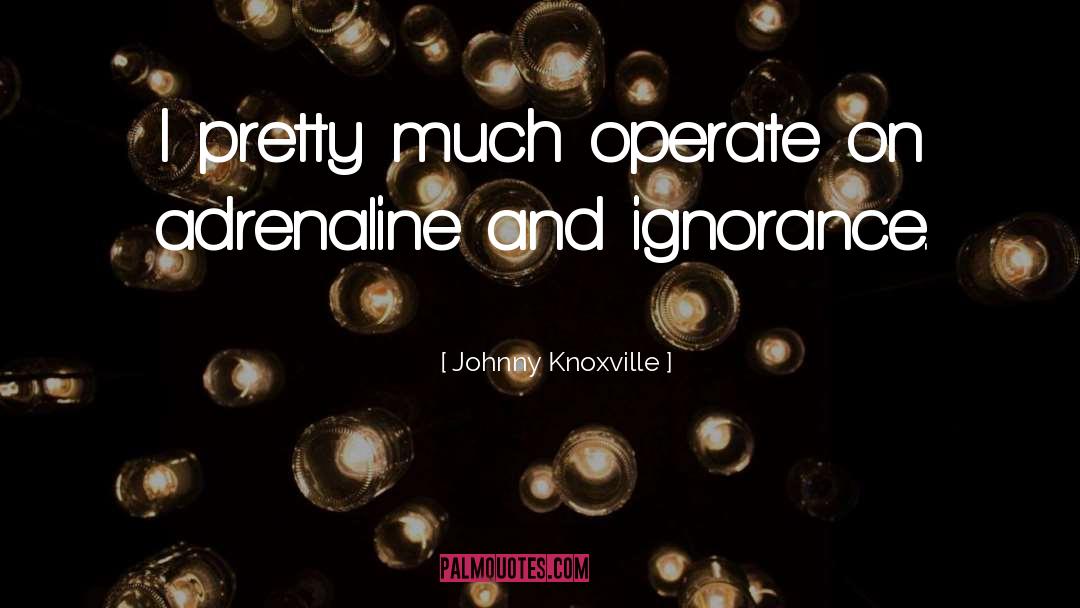 Adrenaline quotes by Johnny Knoxville