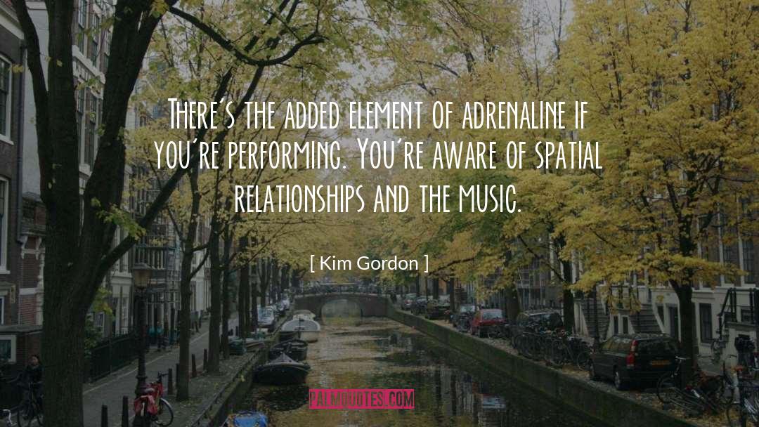 Adrenaline quotes by Kim Gordon