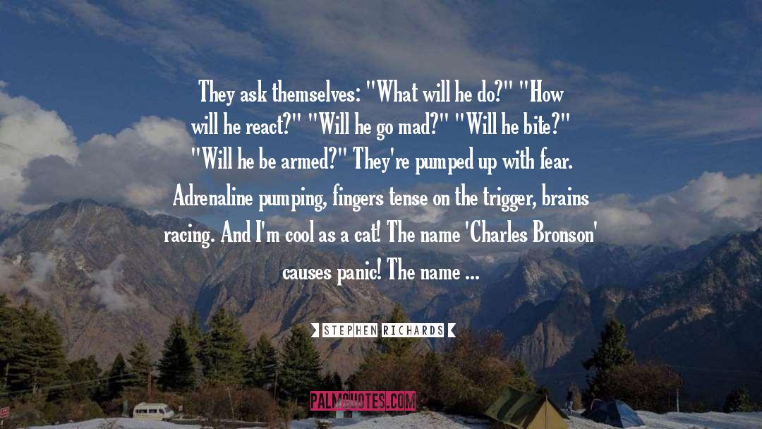Adrenaline quotes by Stephen Richards